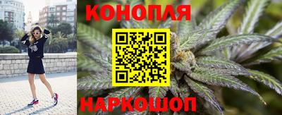 сатива Рыбинск