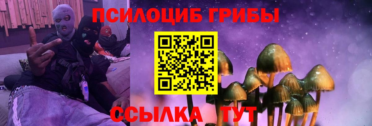 Галлюциногенные грибы мухоморы  Вход с VPN  Аша 